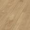 Laminat hrast Monaco 8mm AC5 Room 4917
