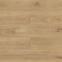 Laminat hrast Monaco 8mm AC5 Room 4917,2