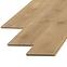 Laminat hrast Monaco 8mm AC5 Room 4917,3