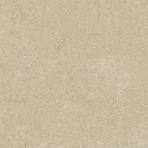 Gres Hektor taupe 60/60 (2 cm)