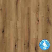 Vodootporni laminat hrast Evoke Sunset 8mm AC5 Aqua Pro K5574
