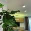 Stropne rolete LED 3W CRNE 03779 PL1,8