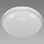 Stropna Svjetiljka FILIP LED C 24W WHITE 4000K 038,2