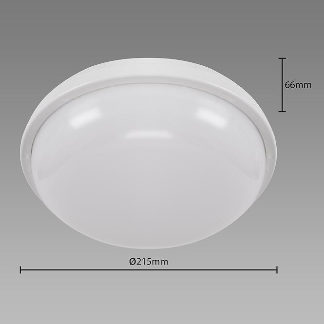 Stropna Svjetiljka FILIP LED C 24W WHITE 4000K 038