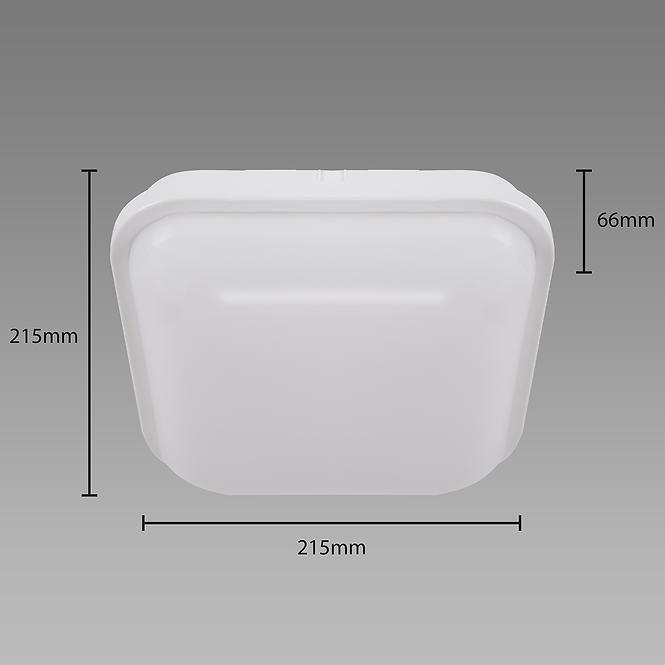 Stropna Svjetiljka FILIP LED D 24W WHITE 4000K 038