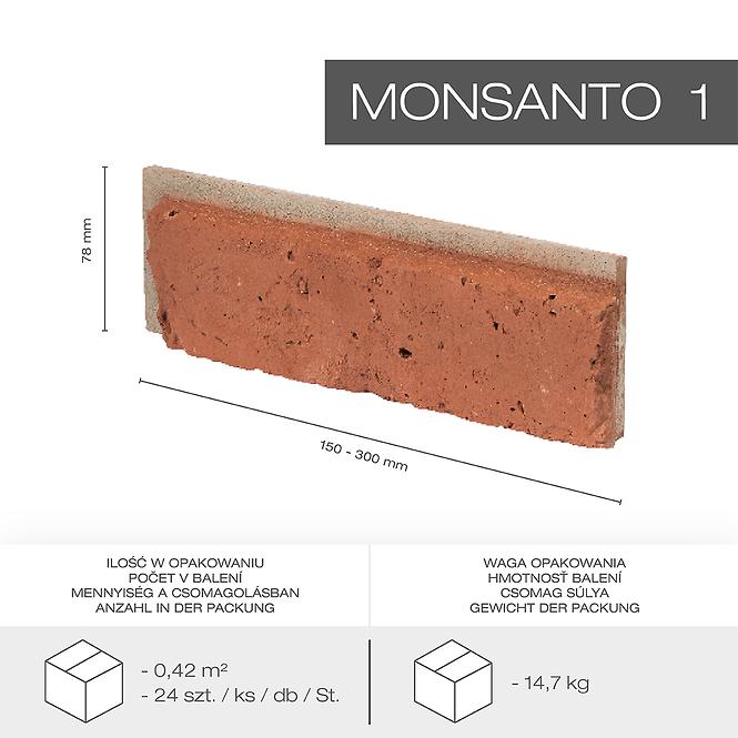 Kamen Monsanto 1, pak=0,42m2