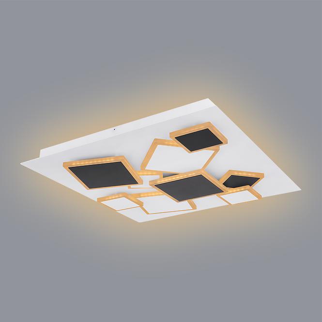 Svjetiljka LED 48290-50 CCT 3000-6000K 50X50