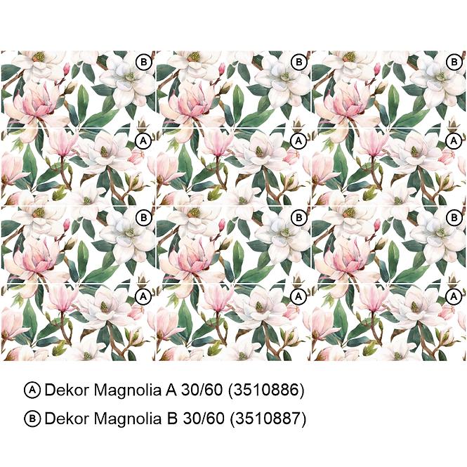 Dekorativna pločica Magnolia B 30/60
