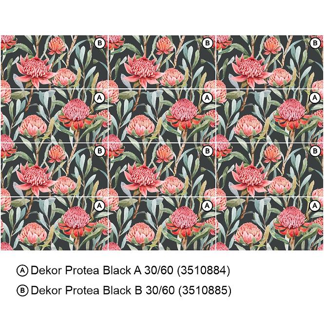Dekorativna pločica Protea Black A 30/60