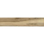 Gres Blaze Roble 22,7/119,5