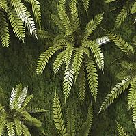 Dekorativna pločica Gres Mural 60/60 Exotic Green 4