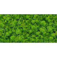 Glazirana zidna pločica Pure Moss Glass 30/60