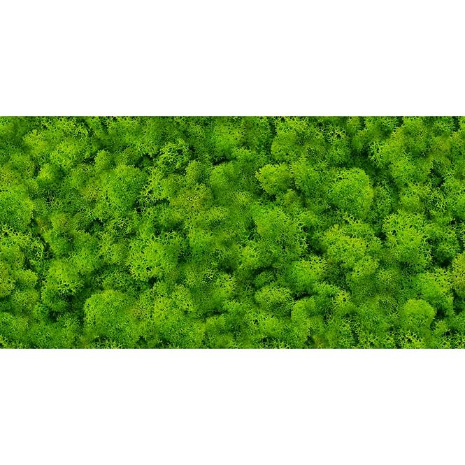 Glazirana zidna pločica Pure Moss Glass 30/60