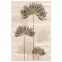 Dekorativna pločica Savoy flower top 90/60  3el.