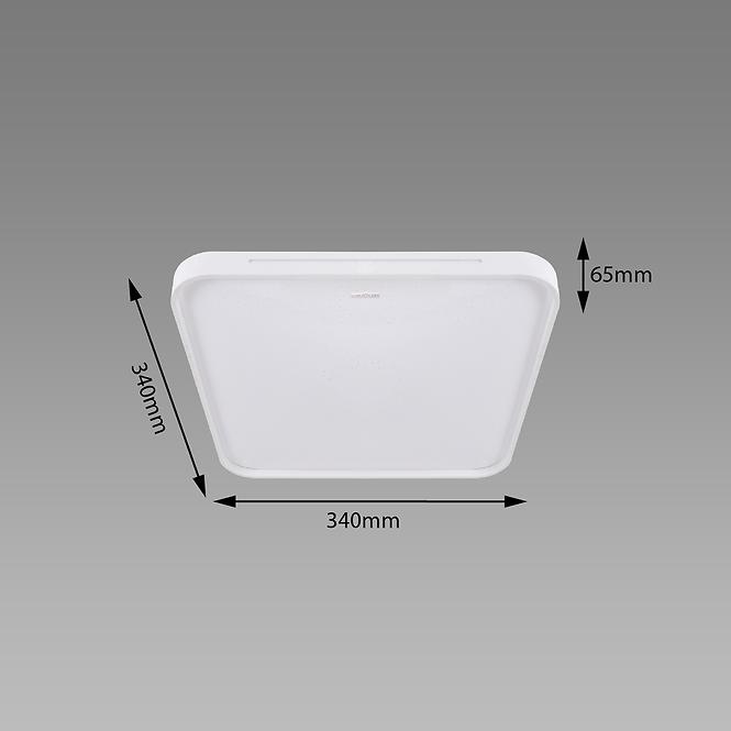 Stropna Svjetiljka WENA LED D 24W 04010 PL1