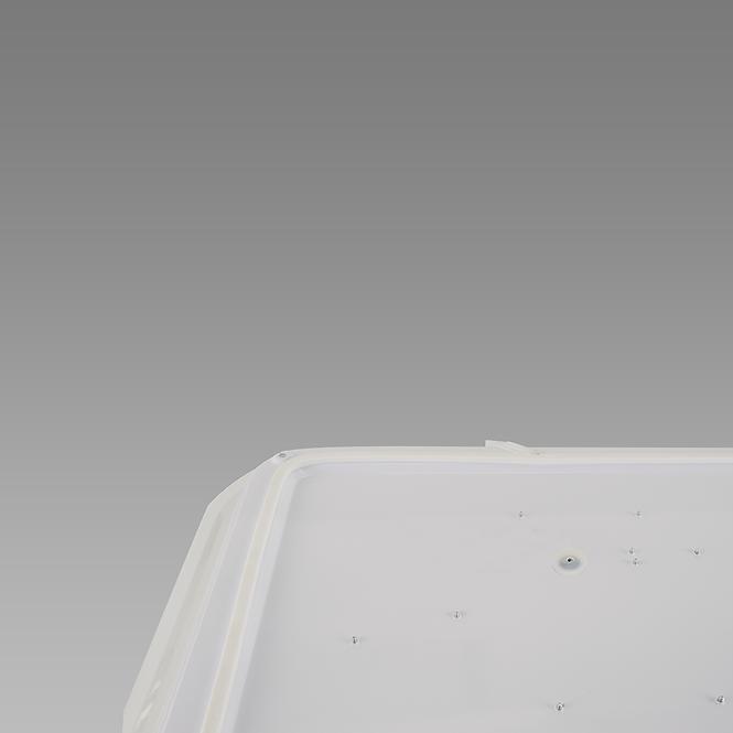 Stropna Svjetiljka WENA LED D 24W 04010 PL1