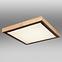 Svjetiljka 41764-24Q LED PL