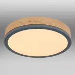 Svjetiljka 416080WD1R LED 12W PL