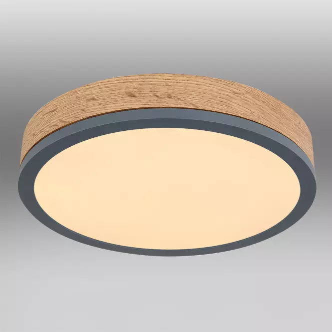 Svjetiljka 416080WD1R LED 12W PL