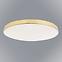 Plafonjera OLYMPIA GOLD EK77867 15W PL1