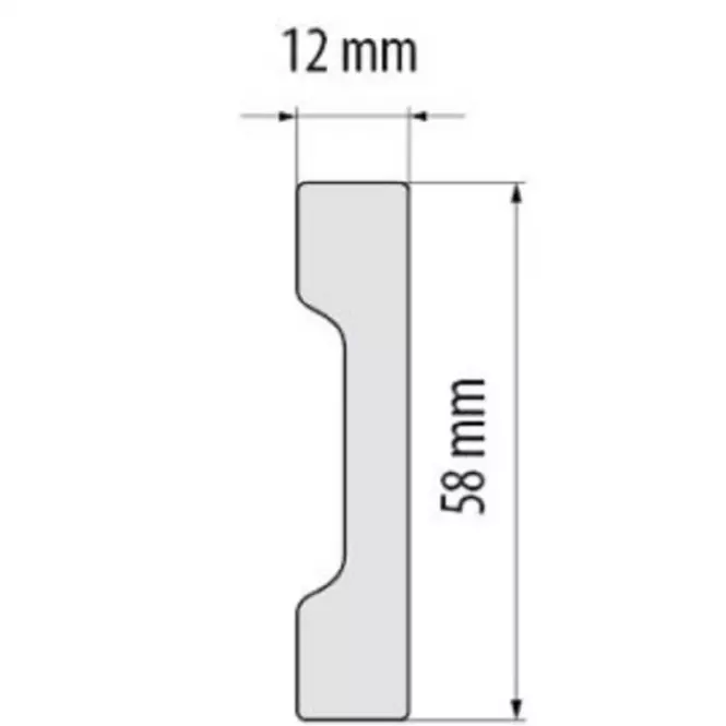 Završna lajsna DP2 12X58mm,2