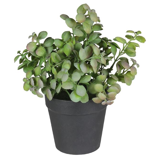 Umjetni cvijet u tegli Herbs 2 20 cm