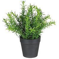 Umjetni cvijet u tegli Herbs 3 22 cm
