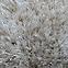 Tepih Shaggy Galaxy 1,33/1,9 7010 60 Kema,8