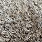 Tepih Shaggy Galaxy 1,33/1,9 7010 70 Bež,4