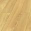 Laminat vodootporan Hrast Limoncello 8 mm AC5 Dolce Aqua Zero 72h 40114,2