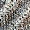 Tepih Frisee Tenerife Plus 0.8/1.5 54173 295 siva,5