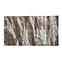Tepih Daisy 0.8/1.5 C358X 51R47,3