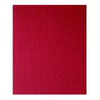 UNIVERZALNI ABRAZIVNI PAPIR 230X280MM G240 50PCS