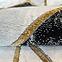 Tepih Frisee Diamond 1,2/1,2 A0033 crno/zlatni   ,5