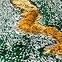 Tepih Frisee Diamond 1.33/1.9  A0050 Zelena,8
