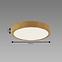Svjetiljka ATUT LED C OAK 18W NW 04149 PL1,2