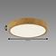 Svjetiljka ATUT LED C OAK 24W NW 04151 PL1,2