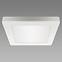 Svjetiljka OLGA LED D 24W WHITE CCT 04063 PL1
