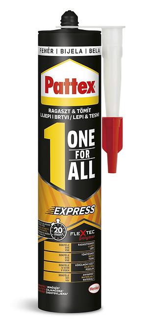 Pattex One For All Express