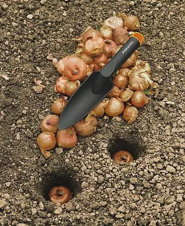 Lopataica 56 mm -  Fiskars Solid 