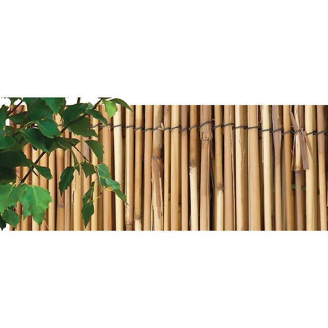 Prostirka od trske Kava 1,5X5m