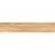 Gres Pine Beige Rekt. Mat 20/120,2