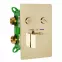 Tuš set + termostat Fenix-Davis Rea P6324 zlatni,6