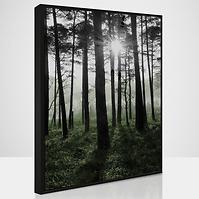Slika Sb 50x70 093L18.37.001
