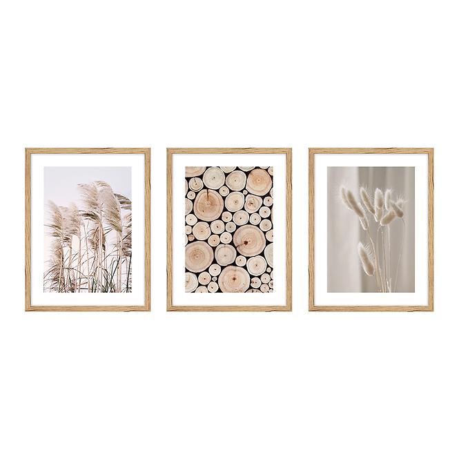 Set slika, 3 slike 30x40 cm 107x43 cm