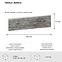 Betonski kamen Tavola Bianco pak=0,38 m2,5