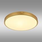 Plafonjera Tibey 12381-22 LED PL1