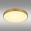 Plafonjera Tibey 12381-22 LED PL1