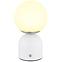 Svjetiljka Julsy 21006W LED LB1,4