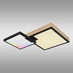 Plafonjera Jacky 41392-21 RGB LED PL2